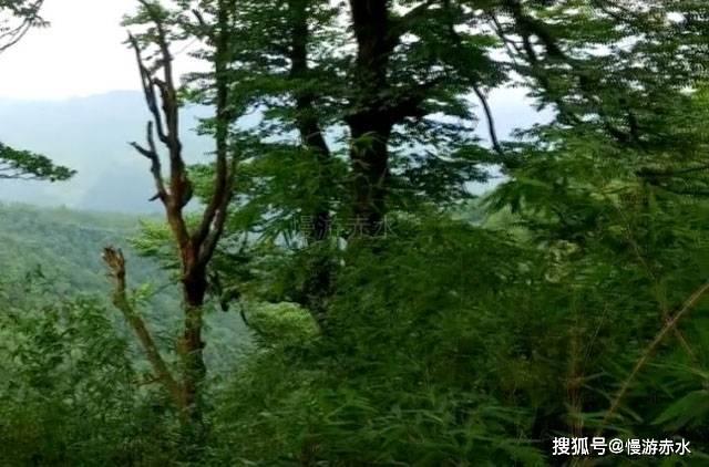 此轮大范围雨雪冰冻2009年以来冬季最强!江苏将相继迎来雨雪、大风、降温和冰冻